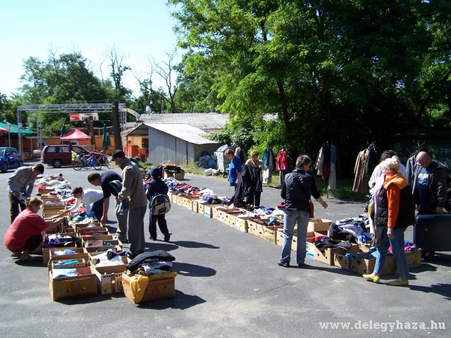 kpek 2011.06.25.kipakols  rnks 014